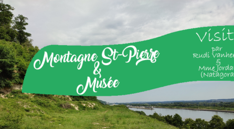 Visite guidée de la réserve de la Montagne Saint-Pierre et du Musée