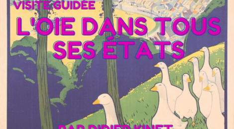 Visite Guidée sur le thème du folklore et de l’oie par Didier Kinet